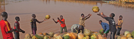 Niger Poised to Transform Its Economy