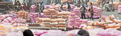 Côte d’Ivoire on Quest to Be West Africa’s Rice Bowl