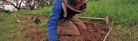 Mozambique Strides Confidently Into New Mine-Free Era