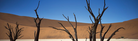 اين انا؟