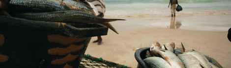Mauritania Signs Historic Fishing Accord with EU