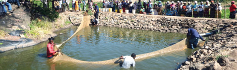 Fish Farming Changes Lives in Africa