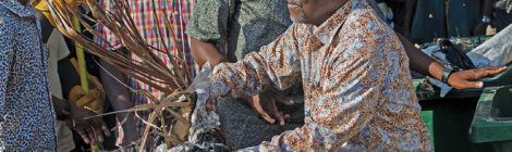 Tanzanian President ‘Bulldozes’ Waste, Corruption