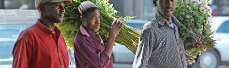 South Africa, Zimbabwe Promote Cooperation