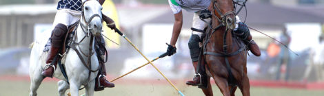 Can Polo Catch On in Africa?