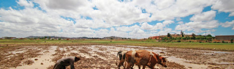 Madagascar Farmers Learn How to Beat Droughts