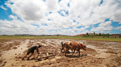 Madagascar Farmers Learn How to Beat Droughts