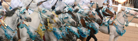 Morocco Equestrian Event Fuses Art, History