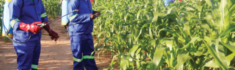 Zambia Calls in the Air Force to Combat Pests