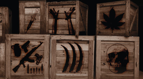 Usalama Takes Aim at Traffickers