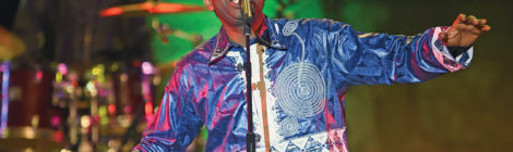 N’Dour Lends Star Power to Malaria Fight