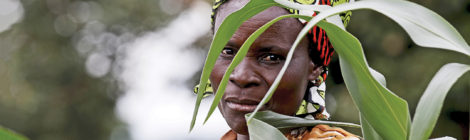 Malawi Calls on Army to Protect Forests