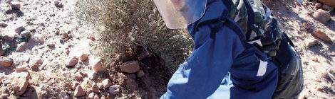 Algeria Declares Itself Mine-Free