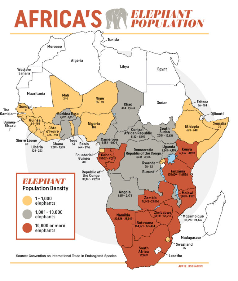World Watches as Africa Tries to Stop Poachers Africa Defense Forum