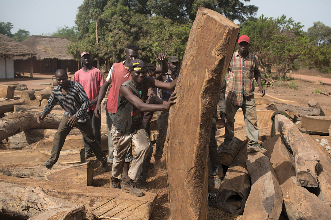 Wood group equatorial guinea jobs