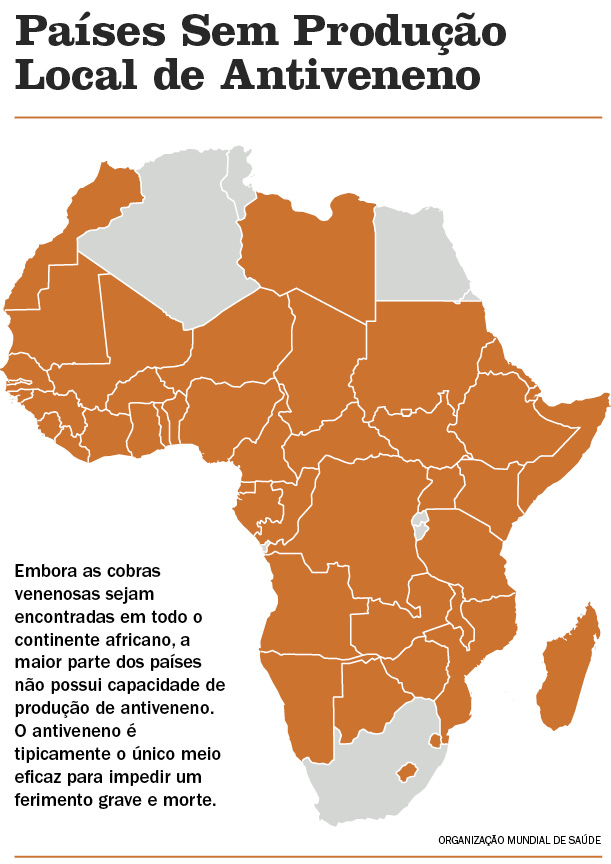 Cobra Mapa da África em COQUINHOS