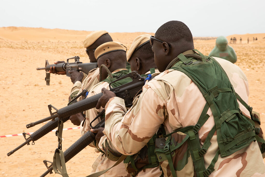 African Lion Exercise Roars in Morocco, Tunisia, Senegal - Africa ...