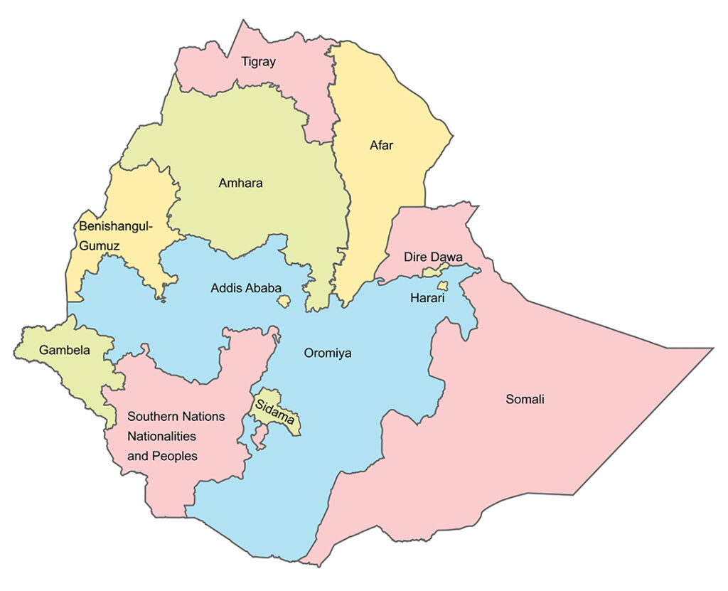 Are Ethnic Conflicts Tearing Ethiopia Apart? - Africa Defense Forum