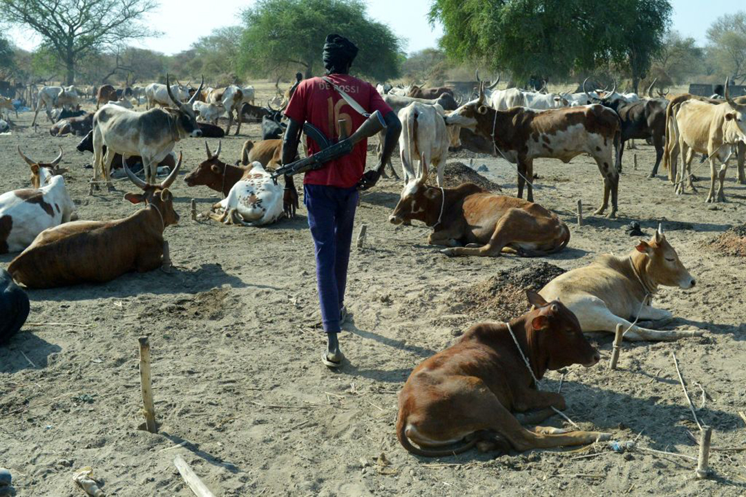 Is Cattle Rustling A Crime