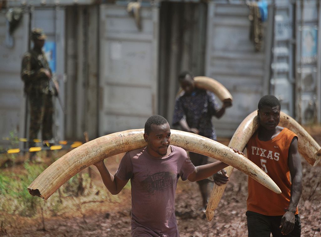East, Southern Africa Trafficking Hubs Connect to Global Networks
