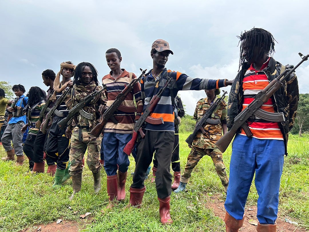 Disarmament Process Offers Pathway to Peace for CAR