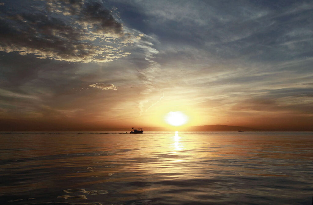 Technology Offers Cure for ‘Sea Blindness’