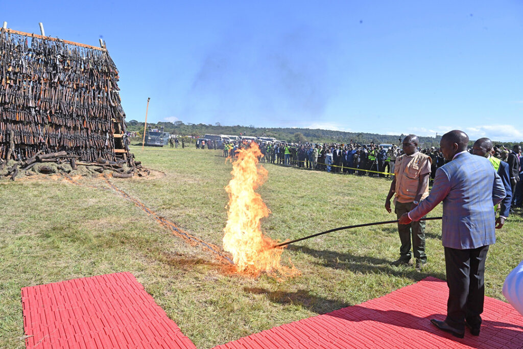 Esforços Comunitários Contra ALPC Considerados Fundamentais para a Paz e a Estabilidade
