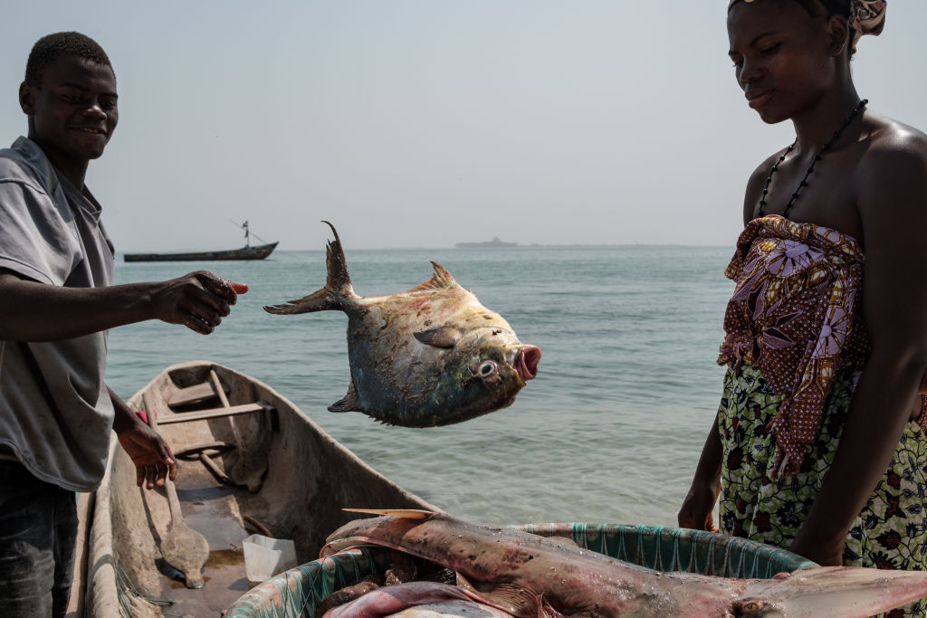 Les pêcheurs de Sierra Leone dénoncent la pêche illégale